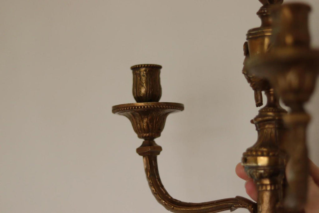 SINGLE Mid Century  Gustavian Style Brass Sconce
