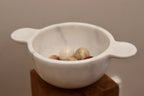 Marble/Onyx/Fossil Eggs Noah Ancienne